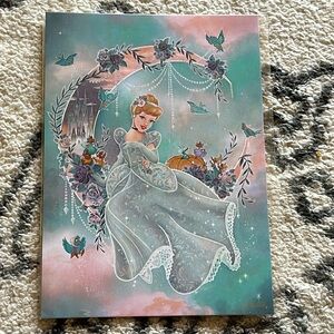 Disney Parks Wonderground Gallery Cinderella Print